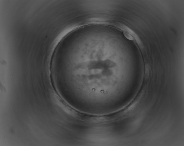X0000090981435200708021449