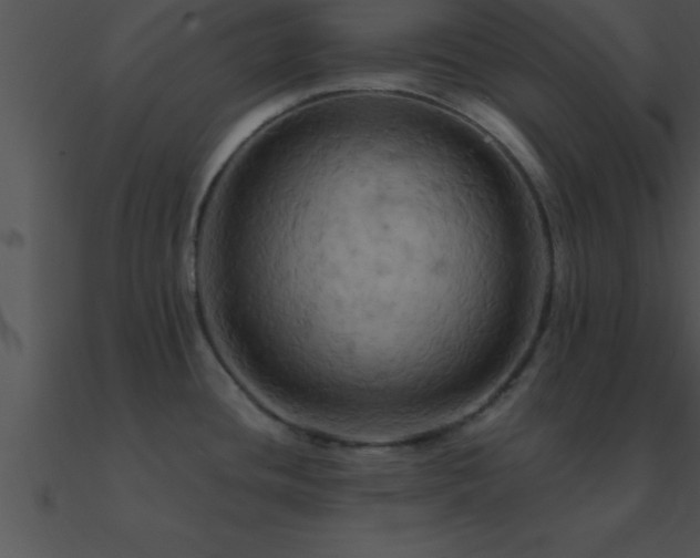 X0000090981436200708021449
