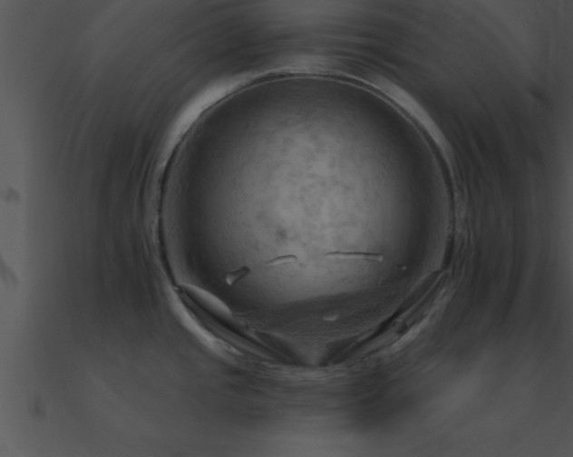 X0000090981437200708021449