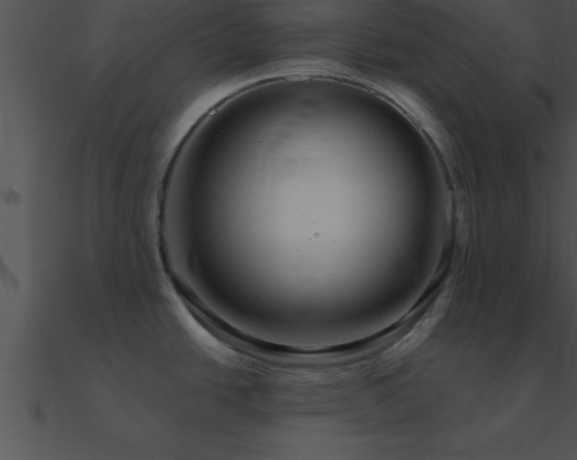 X0000090981438200708021449