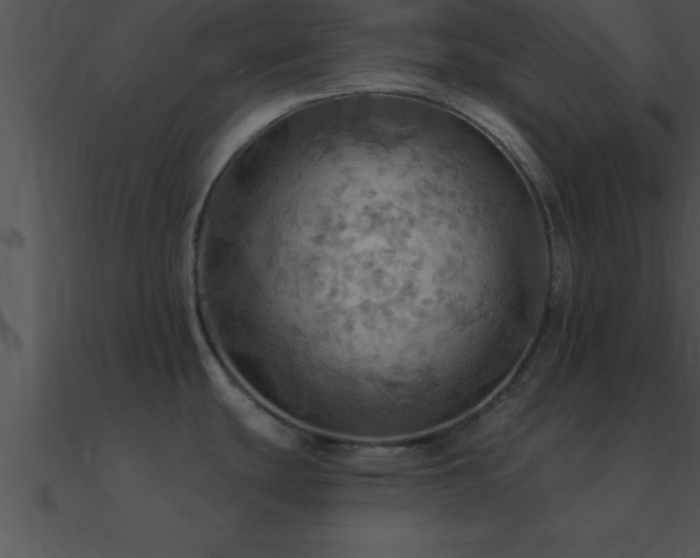 X0000090981439200708021449