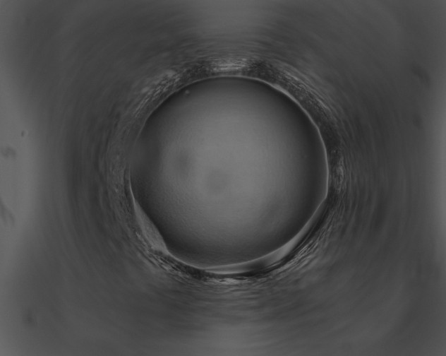 X0000090981441200708021449