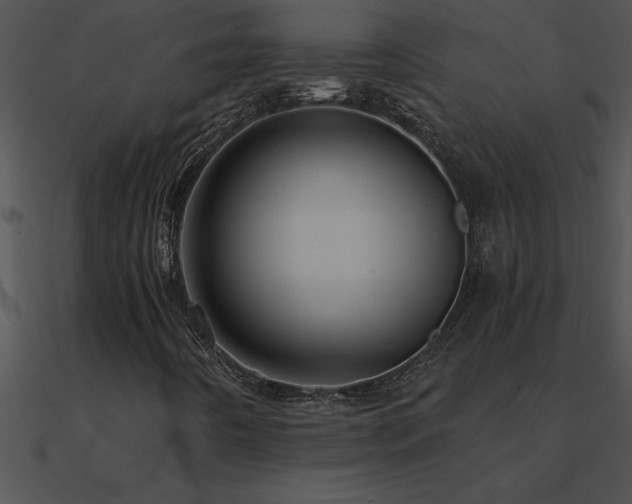 X0000090981442200708021449