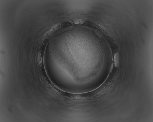 X0000090981443200708021449