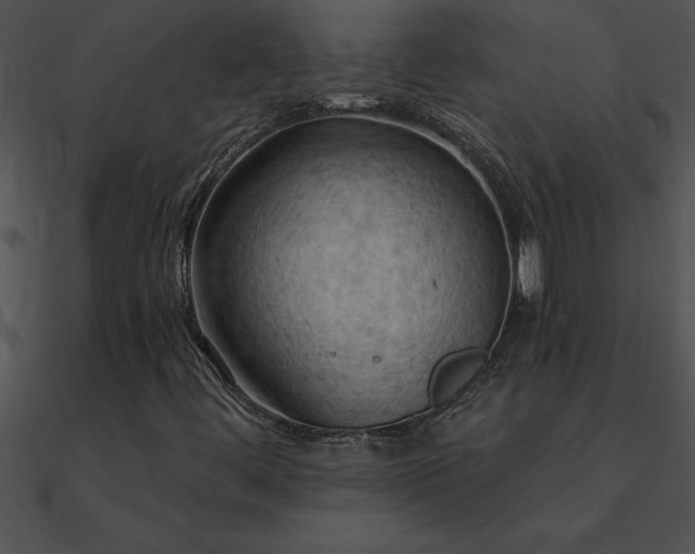 X0000090981444200708021449