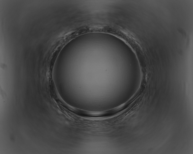 X0000090981445200708021449