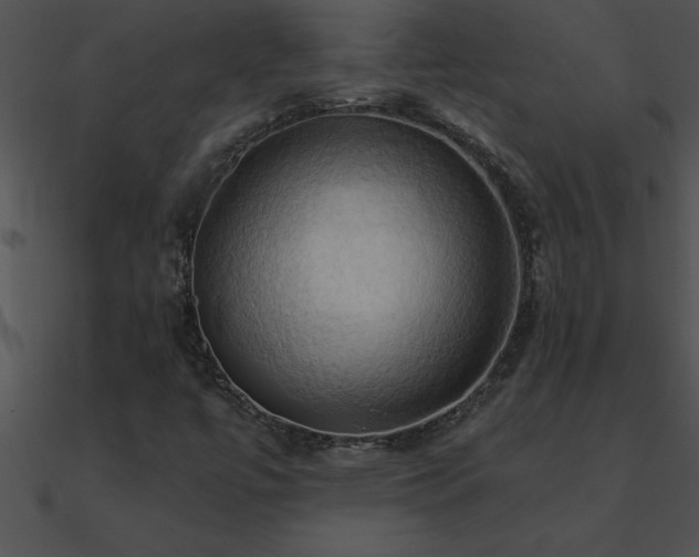 X0000090981447200708021448