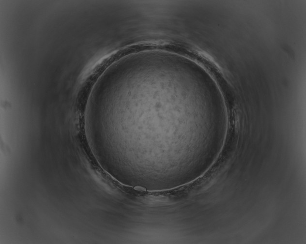 X0000090981448200708021448