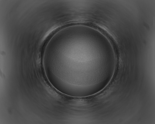 X0000090981450200708021448