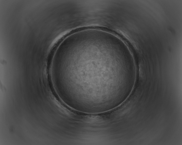 X0000090981452200708021448