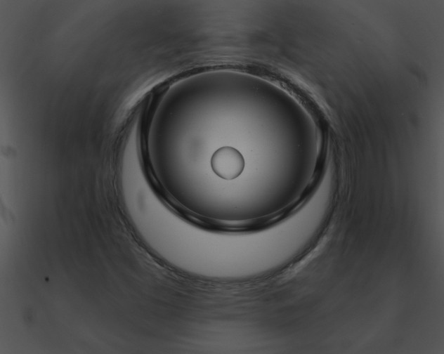 X0000090981453200708021448
