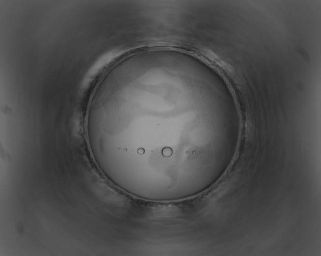 X0000090981454200708021448