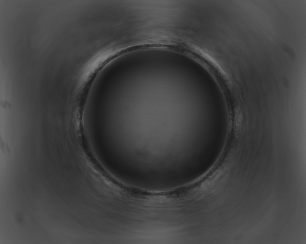 X0000090981455200708021448