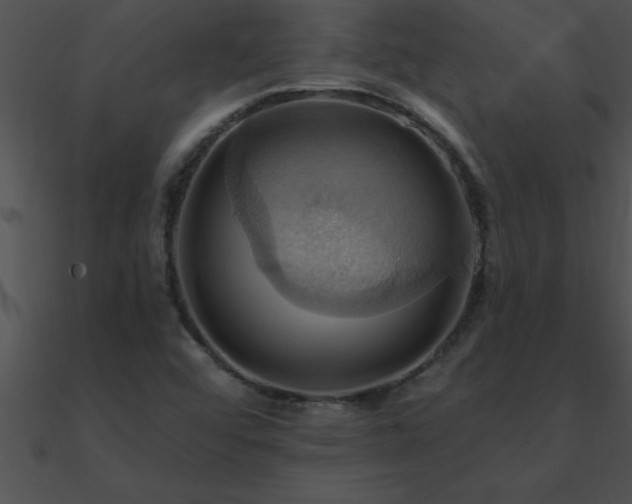 X0000090981456200708021448