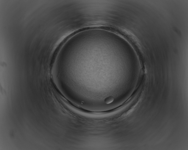 X0000090981457200708021448