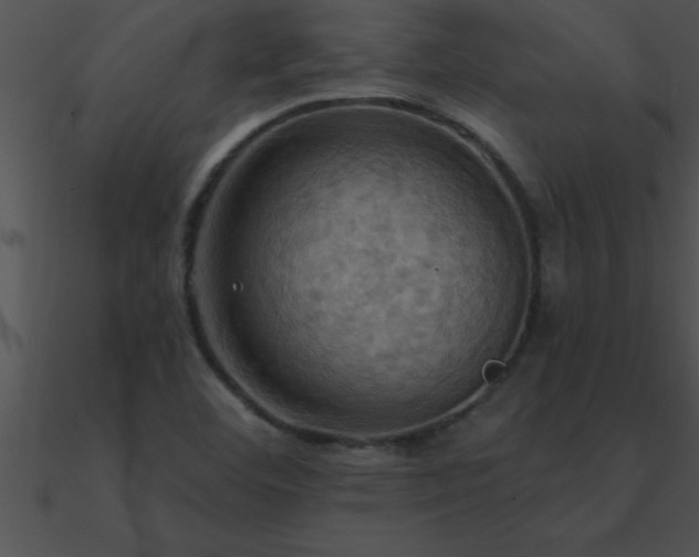 X0000090981460200708021448