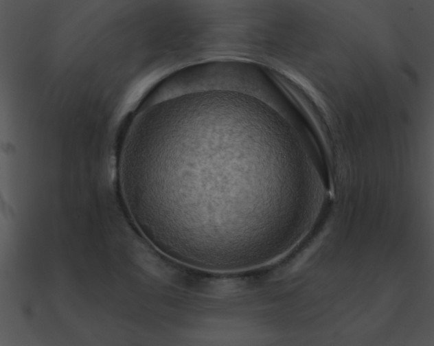 X0000090981461200708021448