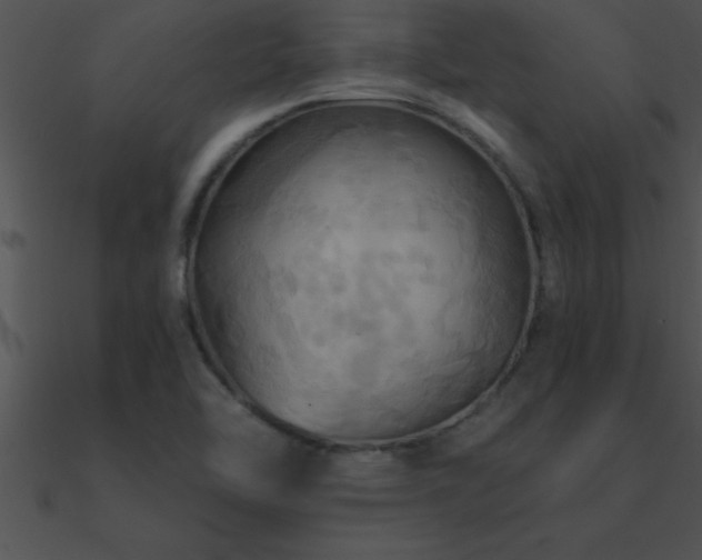X0000090981462200708021448