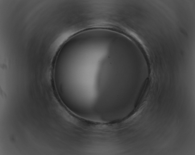 X0000090981463200708021448