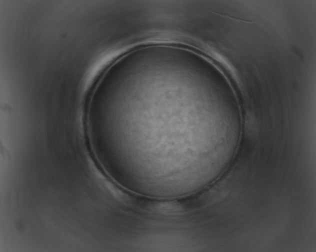 X0000090981464200708021448