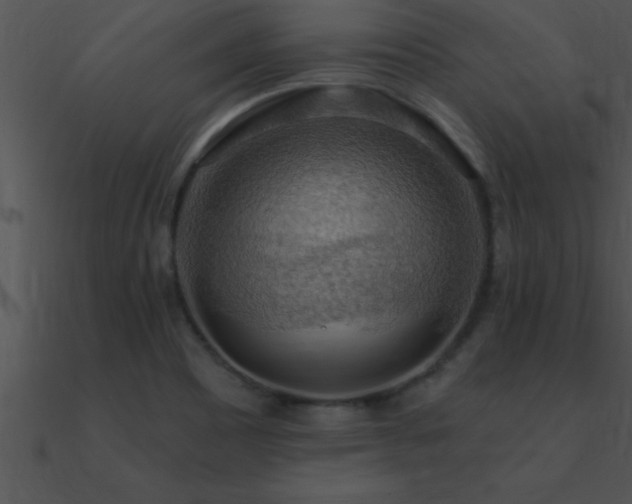 X0000090981465200708021448