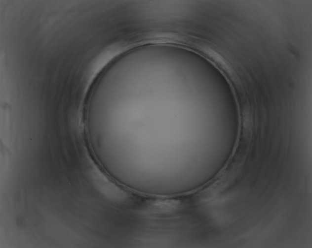 X0000090981466200708021448