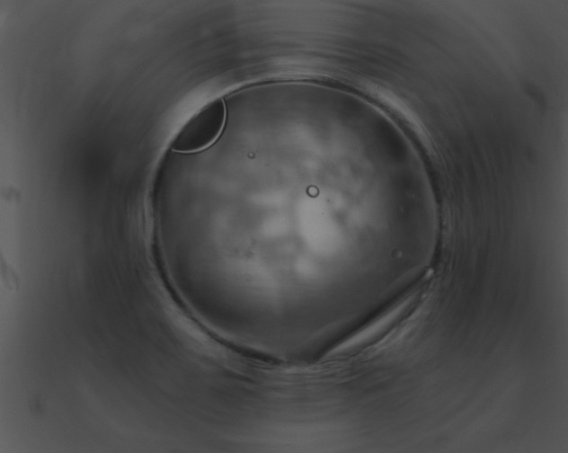 X0000090981467200708021448