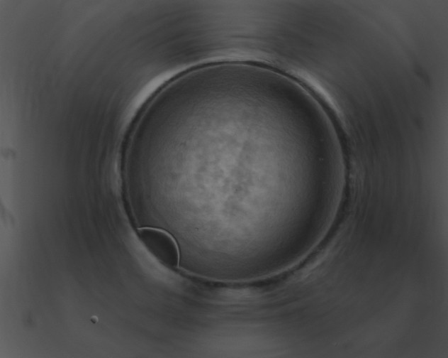 X0000090981468200708021448