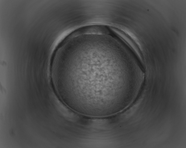 X0000090981469200708021448