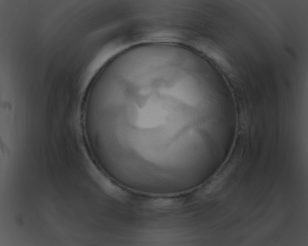 X0000090981470200708021448