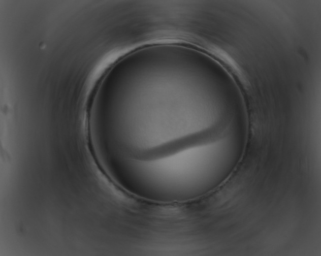 X0000090981472200708021448