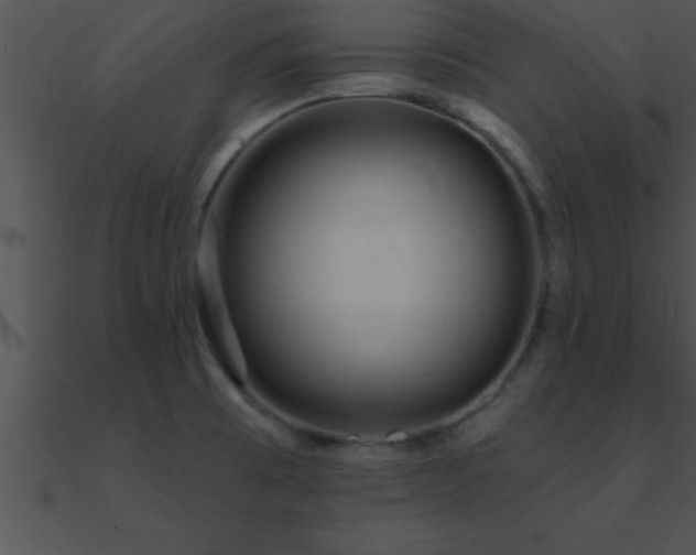 X0000090981473200708021448