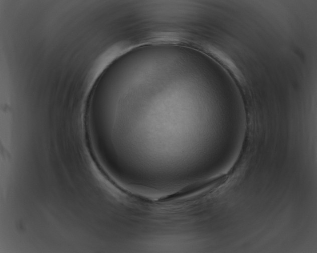 X0000090981475200708021448