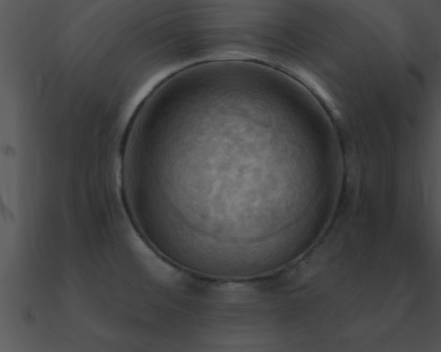X0000090981476200708021448