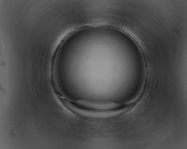 X0000090981477200708021448