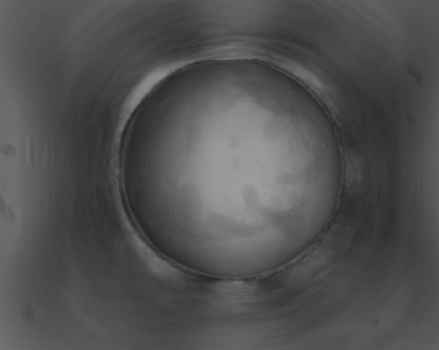X0000090981478200708021448