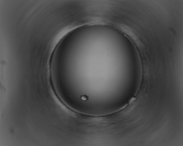 X0000090981479200708021448