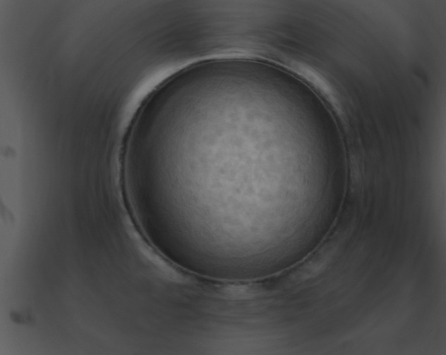 X0000090981480200708021448