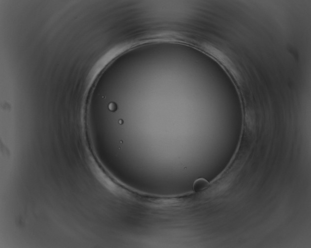 X0000090981482200708021448