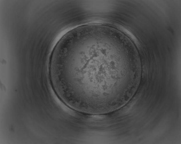 X0000090981483200708021448