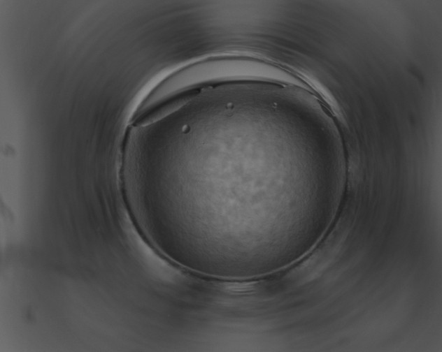 X0000090981484200708021448