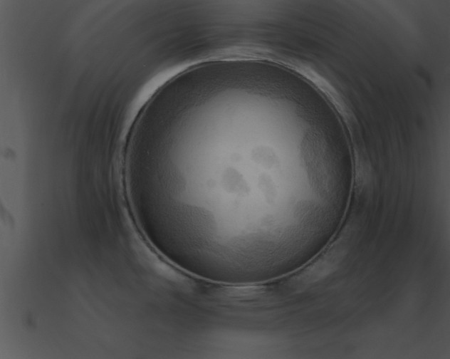 X0000090981486200708021448