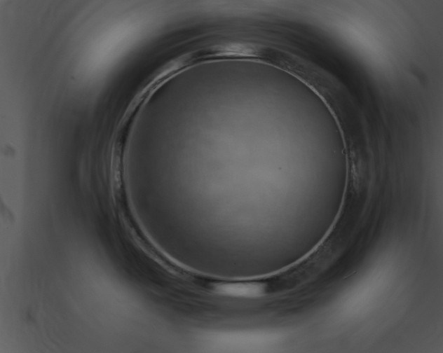 X0000090981487200708021448