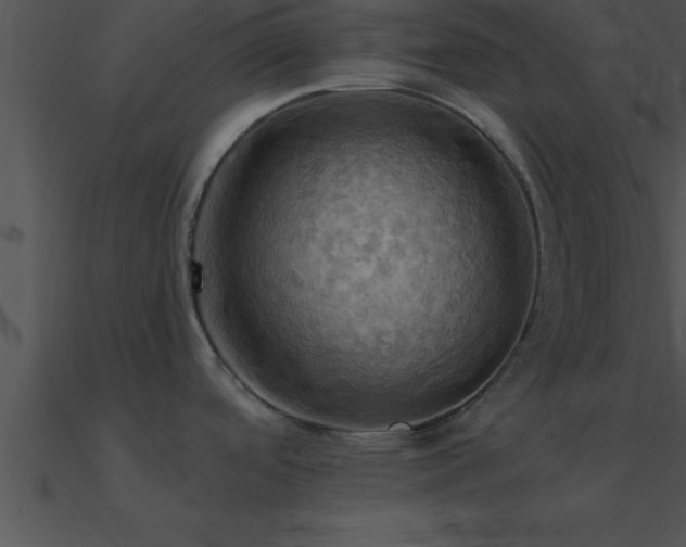 X0000090981488200708021448