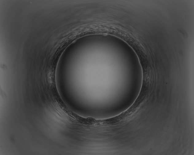 X0000090981490200708021447
