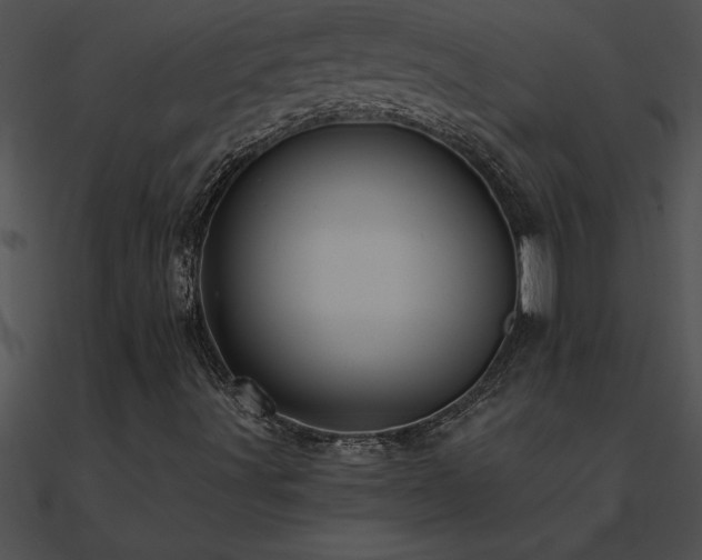 X0000090981491200708021447