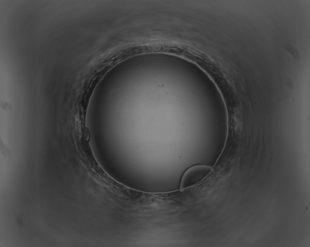 X0000090981493200708021447