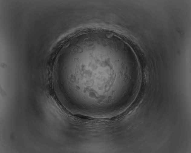 X0000090981494200708021447