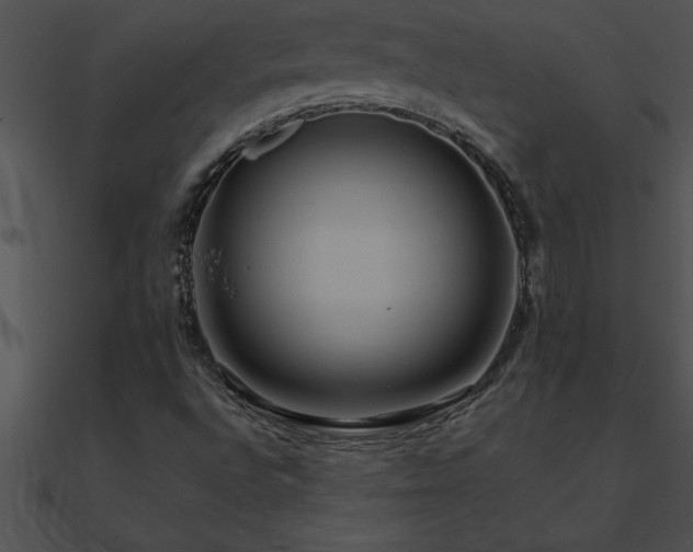X0000090981496200708021447