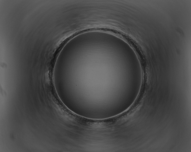 X0000090981497200708021447